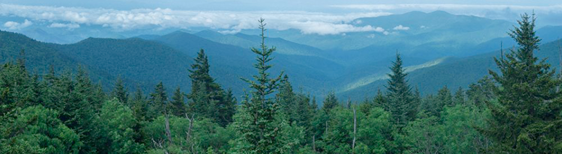 Great Smoky Mountains National Park - Accessible Trails and Paths