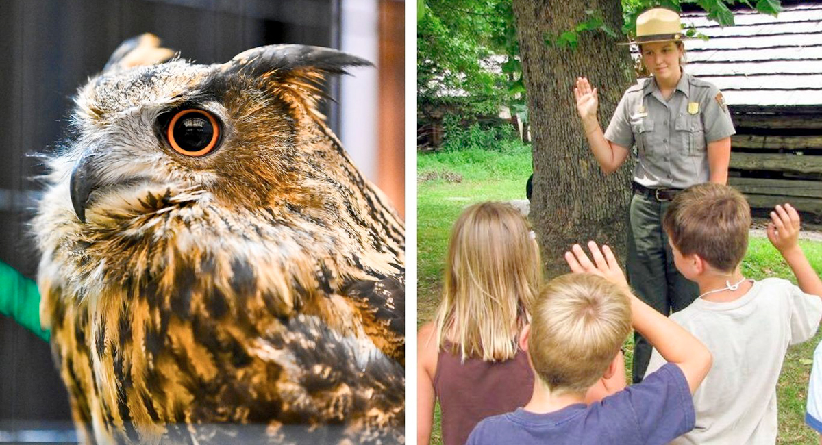 Educational Activities for Kids in Nature & Outdoors