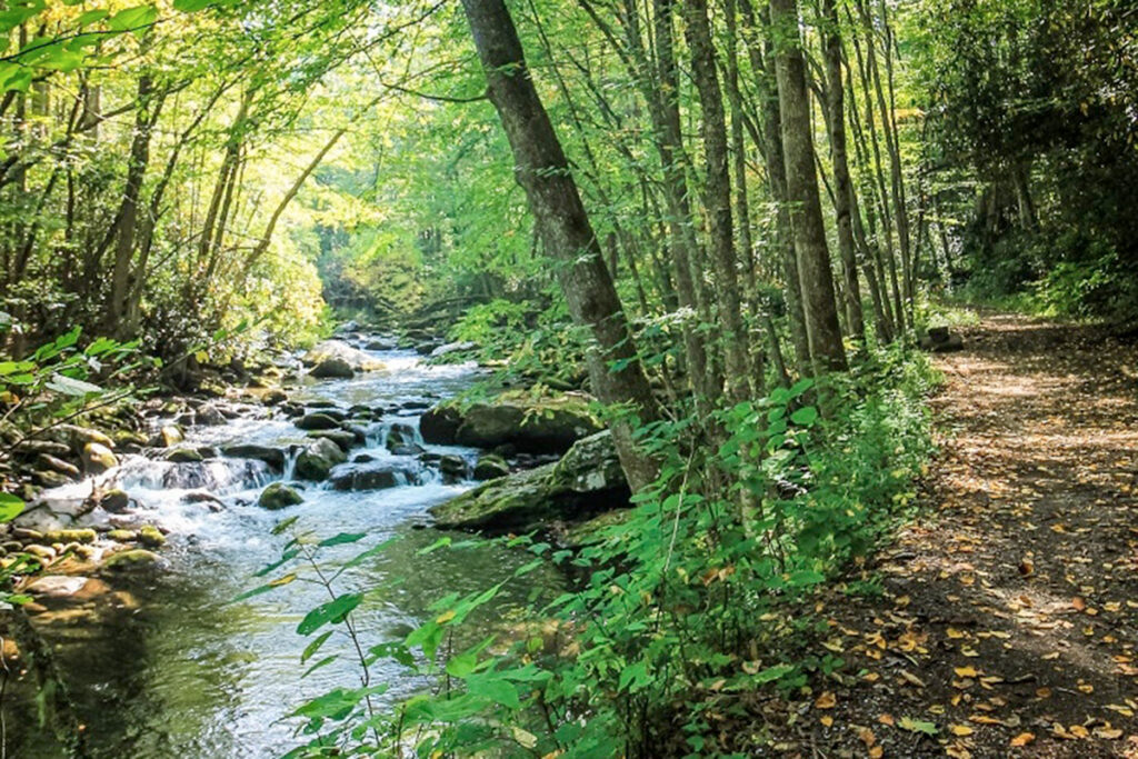 Kid-Friendly Hiking Trails In Great Smoky Mountains National Park
