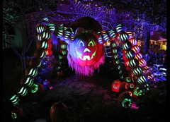 Dollywood Harvest Festival