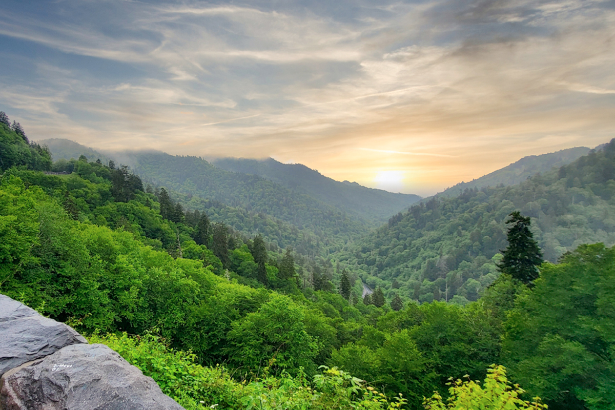 Tips for Group Tours in Great Smoky Mountains National Park