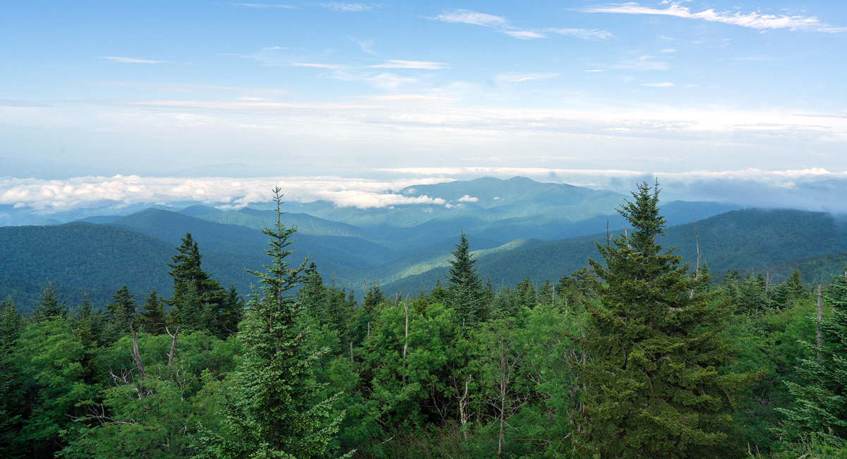 Guide to Visiting GSMNP with a Group