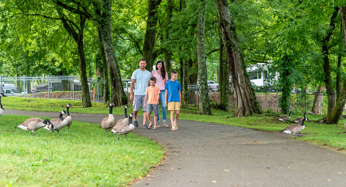 Learn More About What You’ll See Along the Riverwalk Greenway