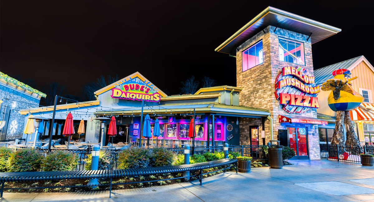 image of pigeon forge mellow mushroom