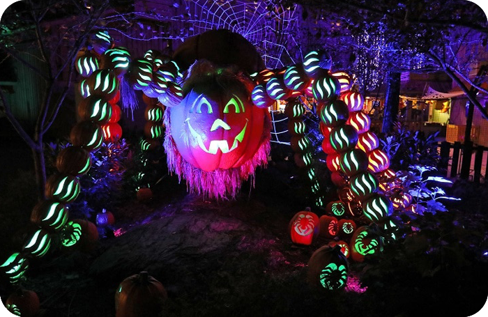 Dollywood »