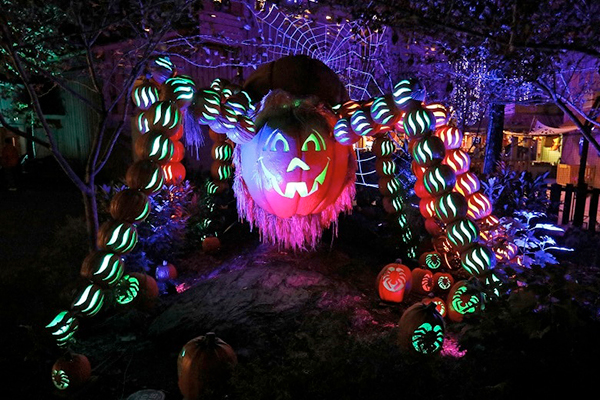 glowing fall decor at Dollywood's Harvest Festival