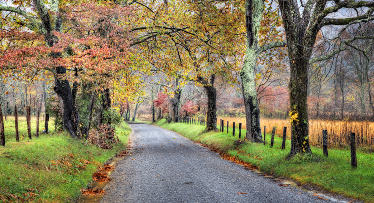 Cades Cove Loop Road in pigeon forge