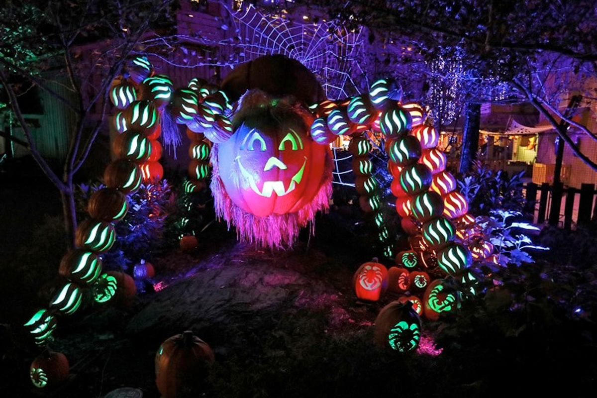 explore halloween activities at Great Pumpkin LumiNights returns during Dollywood's Harvest Festival