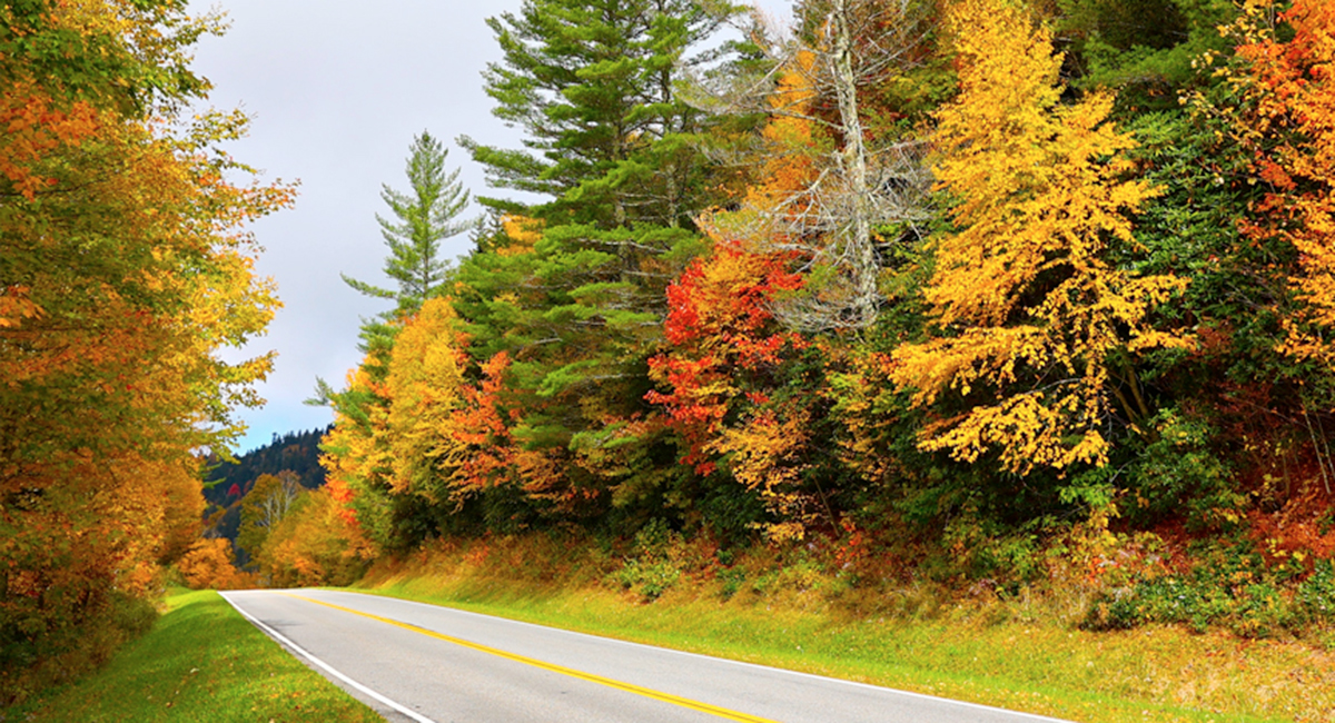Newfound Gap Road pigeon forge tn