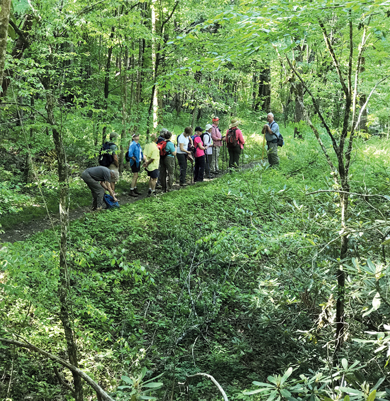 Student Groups in Great Smoky Mountains National Park