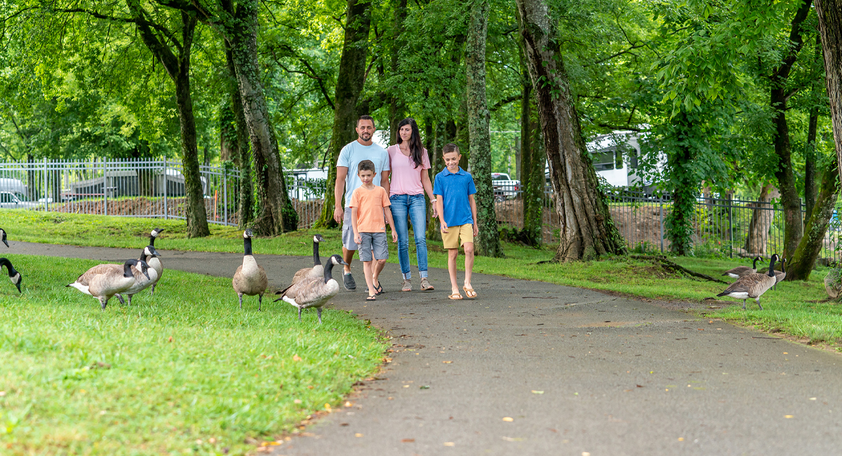 Patriot Park: Best For Smaller Riverside Gatherings