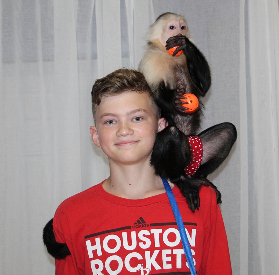 Photos at Three Monkeys Photo Emporium
