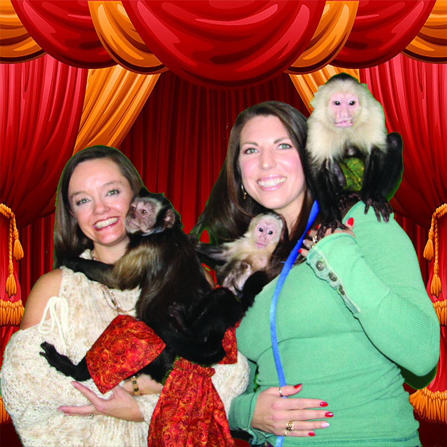 Get your photo taken at Three Monkeys Photo Emporium