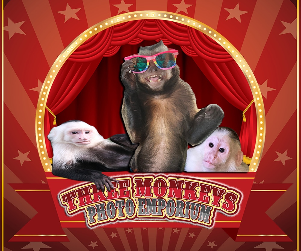 Three Monkeys Photo Emporium